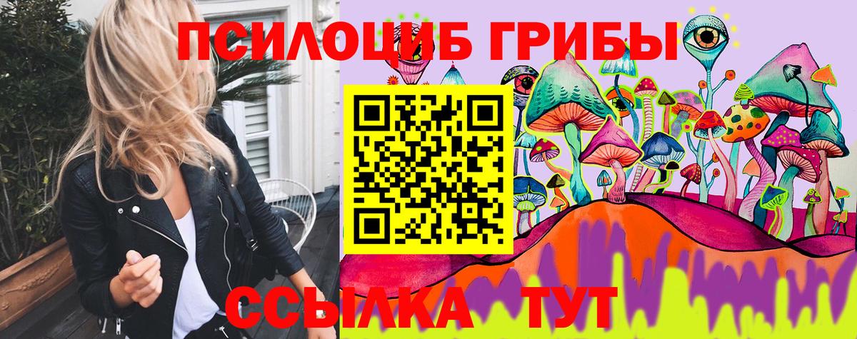 Рассказово  Псилоцибиновые грибы Cubensis  Вход с VPN 